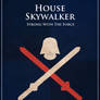 Poster Skywalker