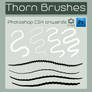 Thorn Brushes for Photoshop CS4+