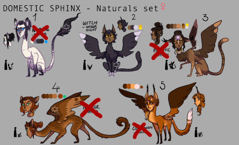 Sphinx Adoptables Auction [CLOSED!]