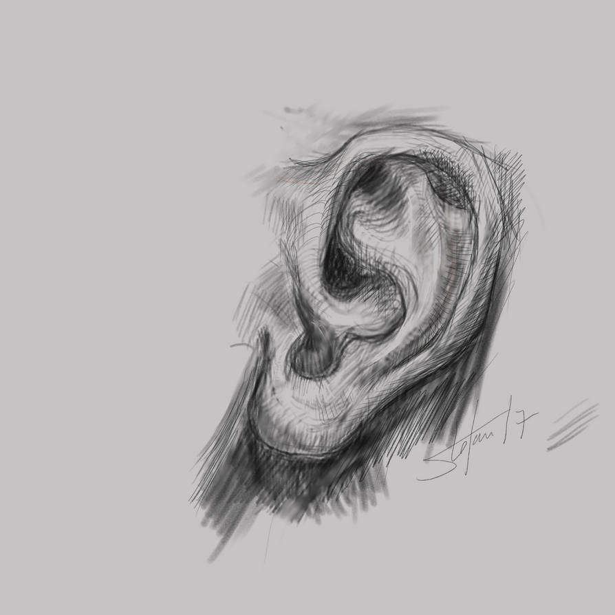 Ear Study 001 by DrHoofman on DeviantArt