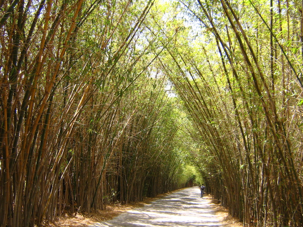 Taroudant..