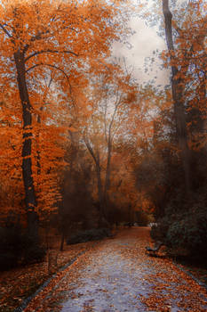 Palace's garden