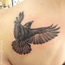 Raven Tattoo