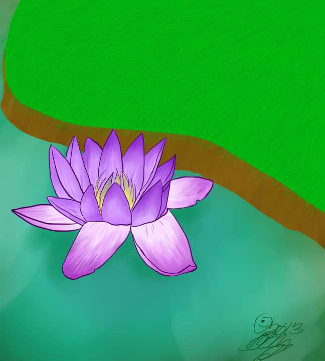 Waterlily