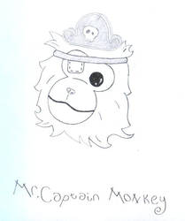 Mr.Captain Monkey