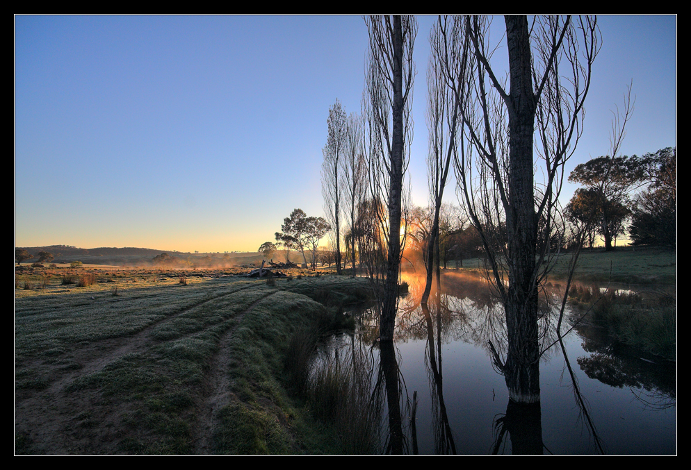 Morning Whispers