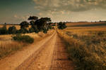 A Road to Rule by Sun-Seeker