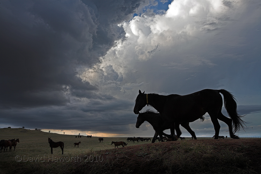 Into The Wild Sky