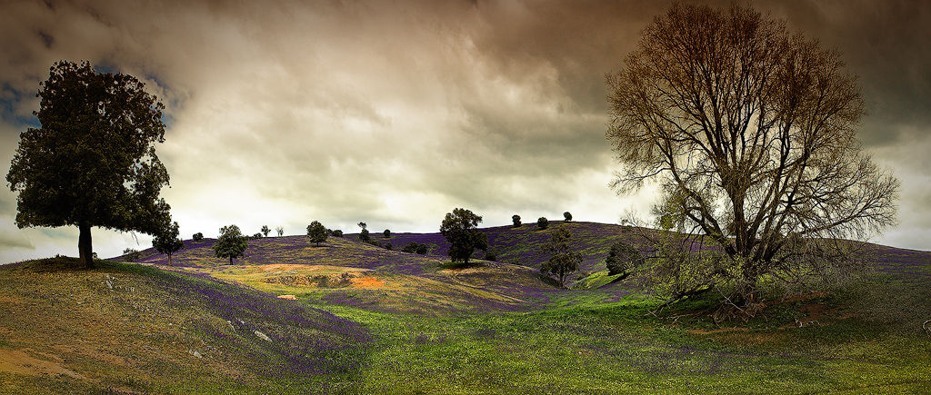 Gundagai Land