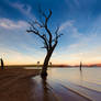 Hume Dam