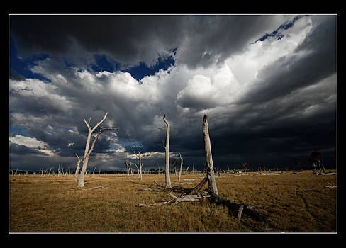 Sky Shadows