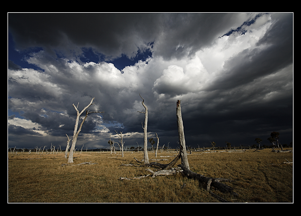 Sky Shadows