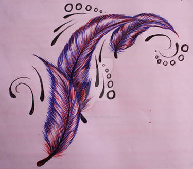 Feathers