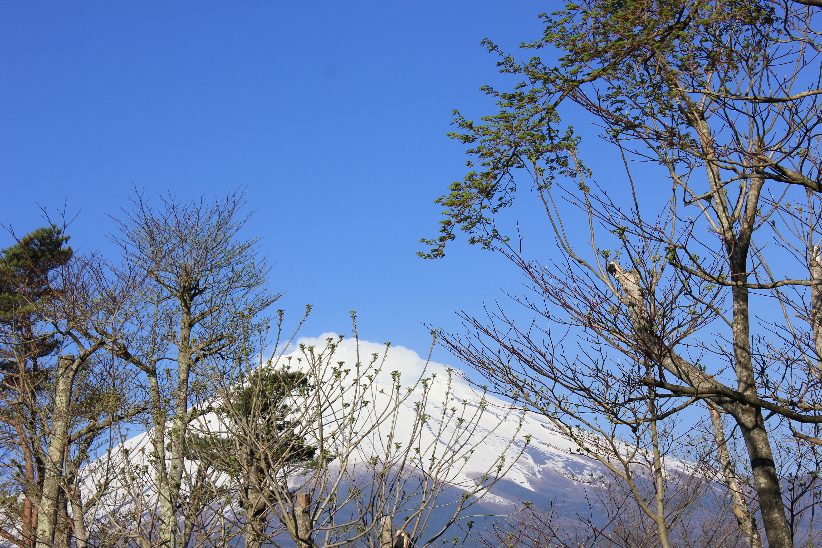 Mont Fuji