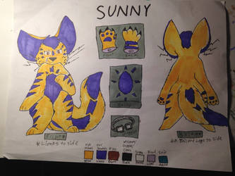 Sunny Reference Sheet