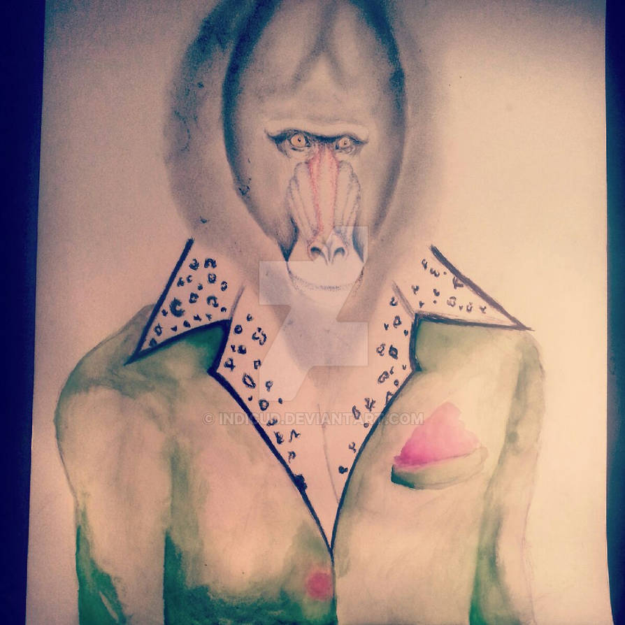 Pimpmonkey Monkey Pimp by Indicud on DeviantArt