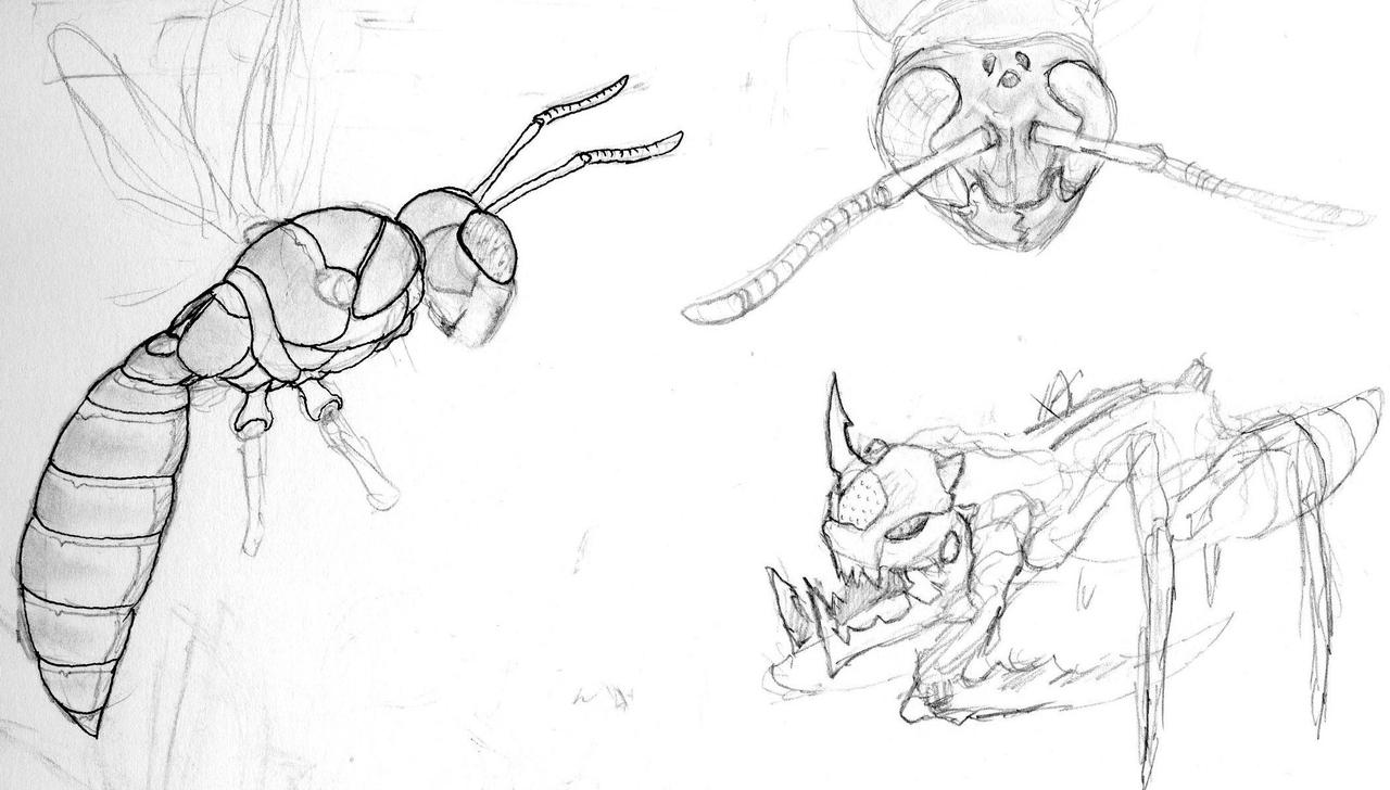 Insect Deviantart Insect Practice by Iron-Fox on DeviantArt