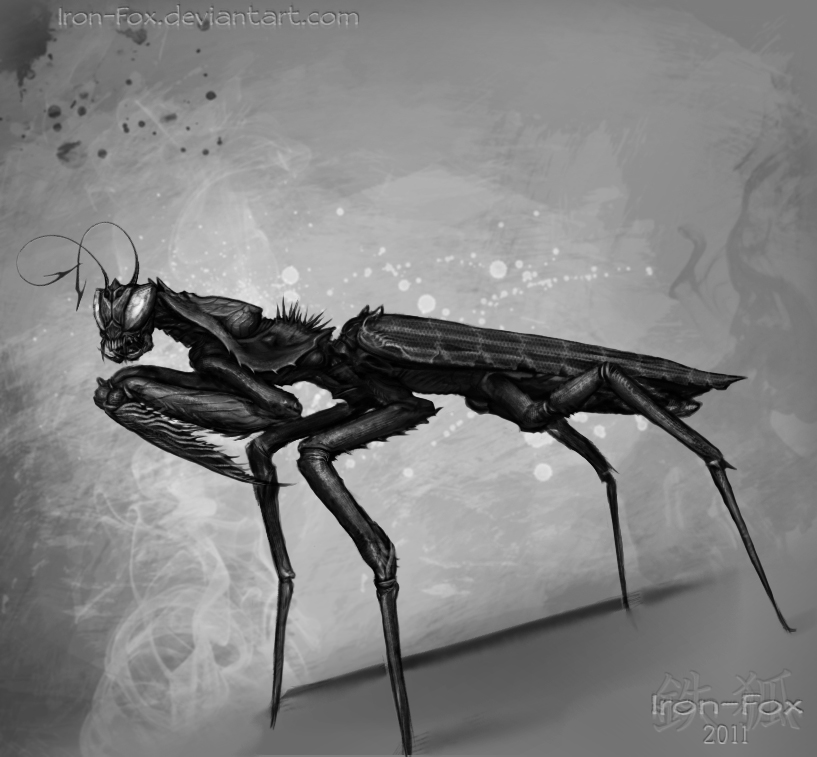 Devil Mtis Demon Mantis by Iron-Fox on DeviantArt