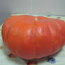 Stock - Pumpkin4