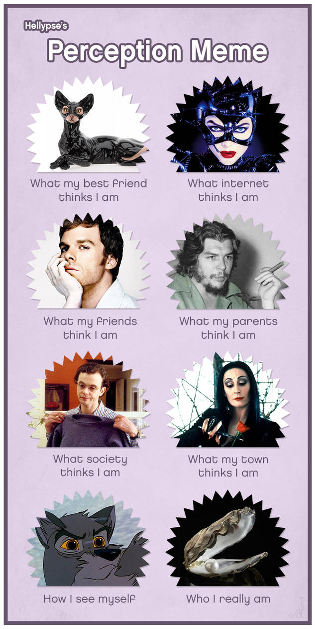 Distorted Perception Meme Perception meme ! by Hellypse on DeviantArt