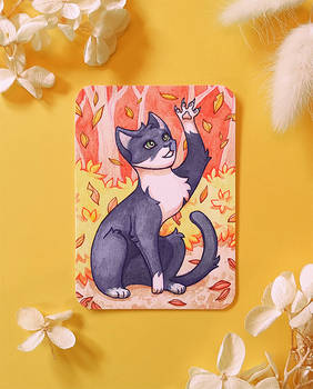 ACEO - Cat for DragonaACEO