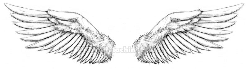 Wings Tattoo