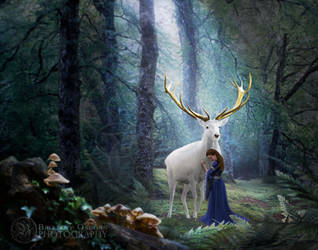 White Stag