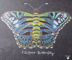 Clipper butterfly (metalic version)