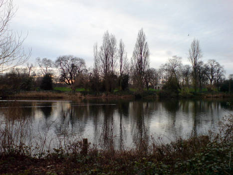 The Serpentine