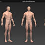 Male Body Reference Model