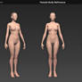 Female Body Reference Model