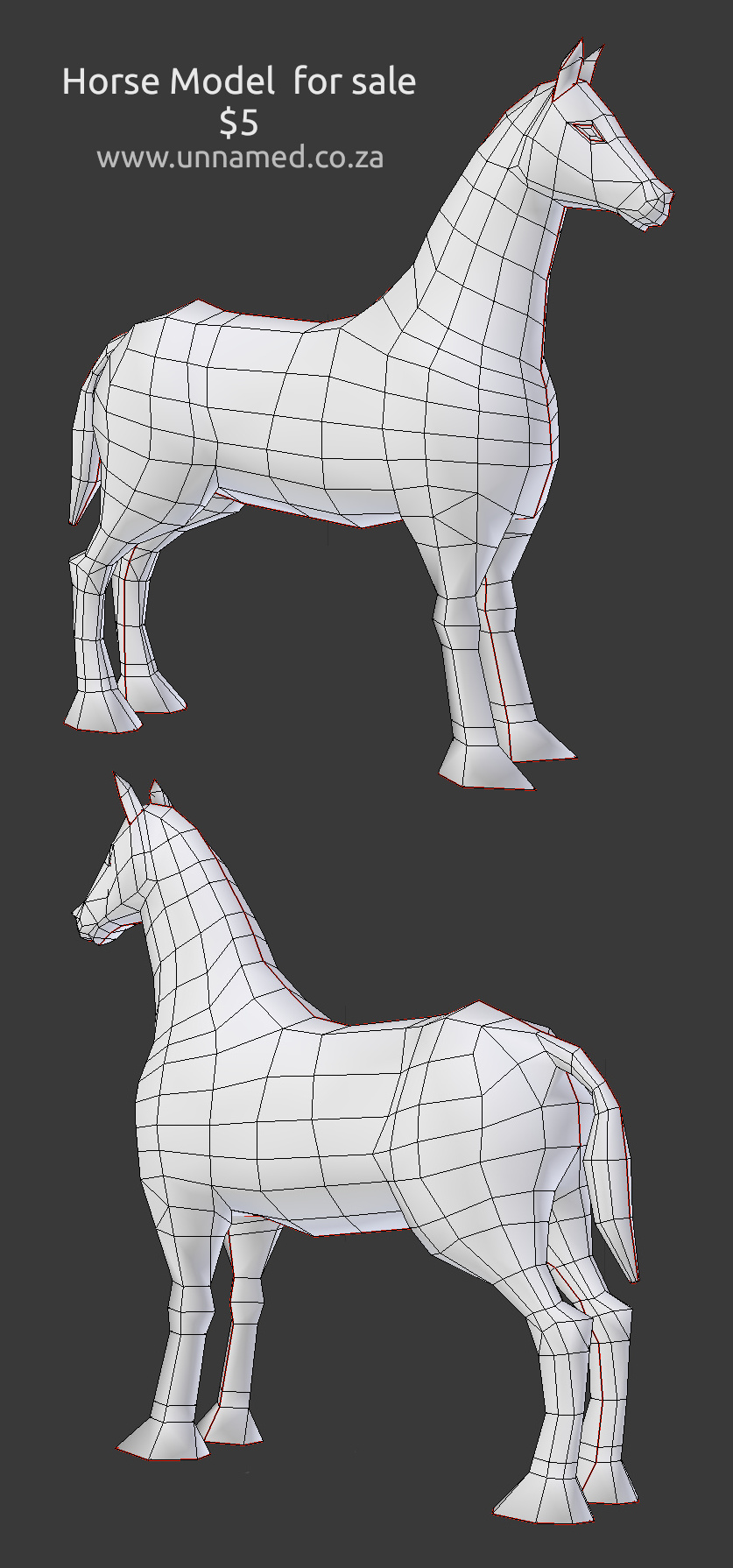 Horse model