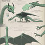 Character Design - Green Dragon