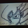 Goku 3DS