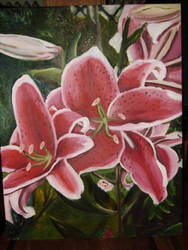 Stargazer Lily