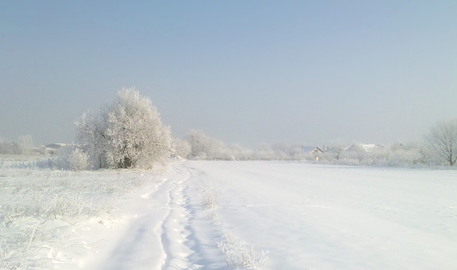 Lost in snow II