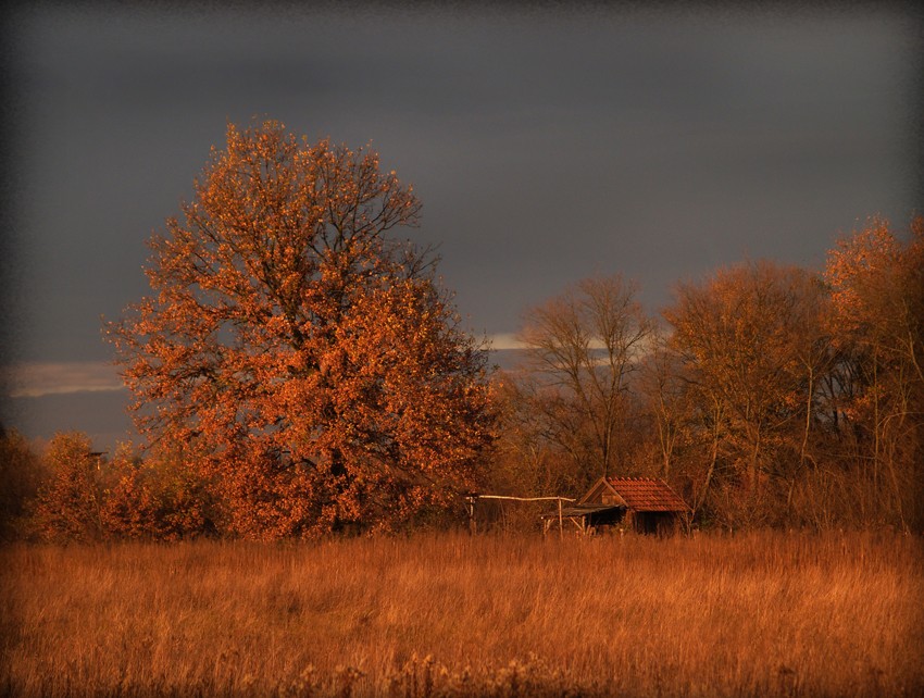 Red shelter...