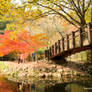 Autumn in Baekyangsa Temple