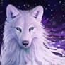 Winter Wolf