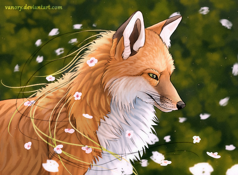 Spring Fox