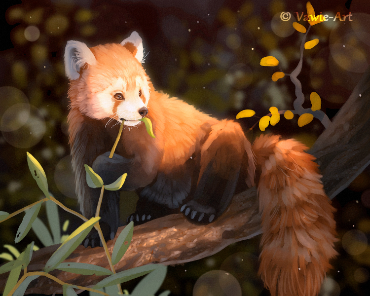 Red Panda by Vawie-Art on DeviantArt