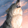 Howling Wolf