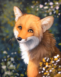 Young Fox by Vawie-Art