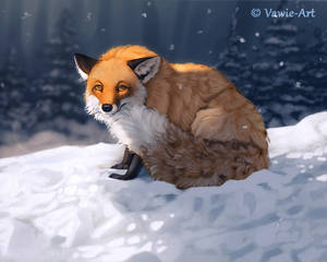Skeptical Fox
