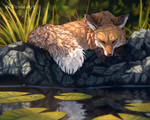 Napping Fox by Vawie-Art