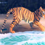 Tiger at the Beach