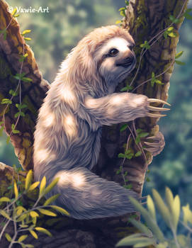 Three-toed Sloth