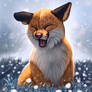 Sneezing Fox