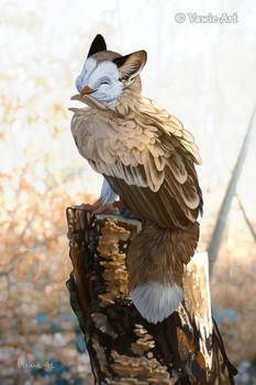 Vulture-winged Owlfox