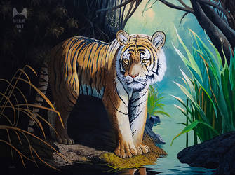 Tiger - Acrylic Painting